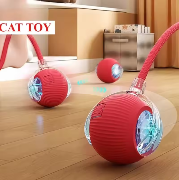 Cat Ball Toy with Rope