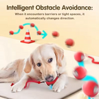 Cat Ball Toy with Rope