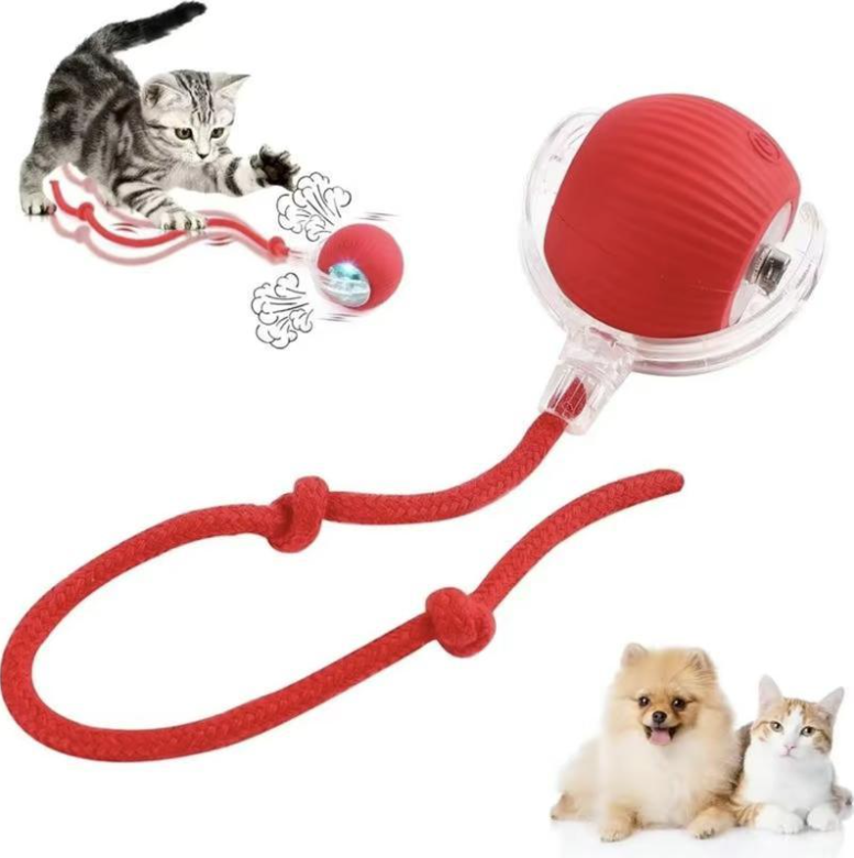 Cat Ball Toy with Rope